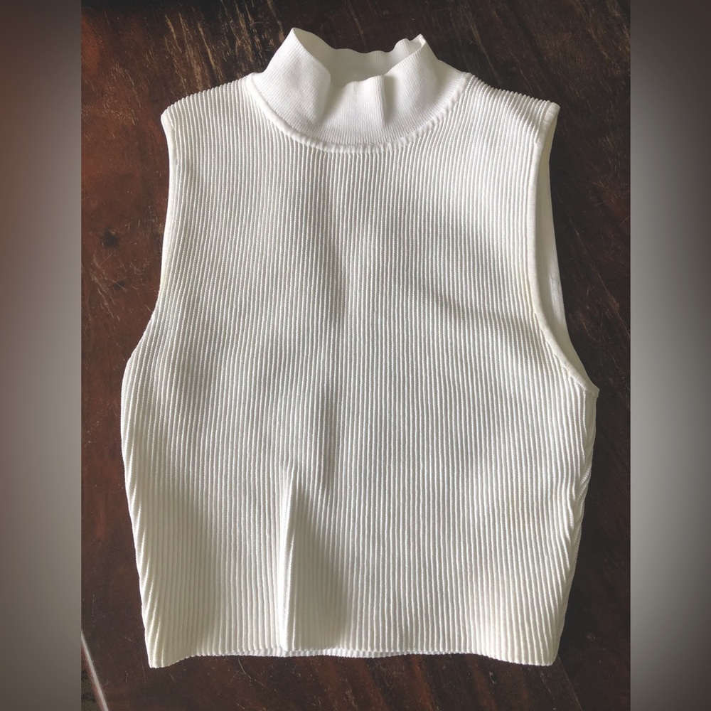 Aritzia Babaton Top